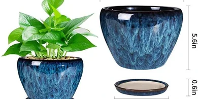 6-Inch Modern Ceramic Succulent Planter with Saucer
