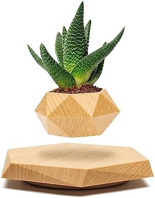 Magnetic Levitating Planter for Home & Office