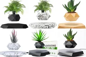 5 Amazing Floating Plant Stands to Beautify Your Home