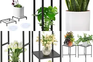 5 Stylish Square Plant Stands for Your Home