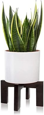 Mid-Century Modern Plant Stand (Indoor/Outdoor, 5-15" Pots)