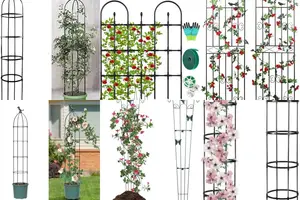 Transform Your Garden: 5 Stunning Rose Trellises
