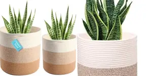 5 Stunning Woven Planter Covers to Transform Your Space