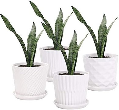White Ceramic Cylinder Planters with Saucers (Set of 4)