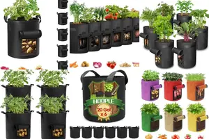 Grow Juicy Carrots in 5 Easy Steps with Grow Bags