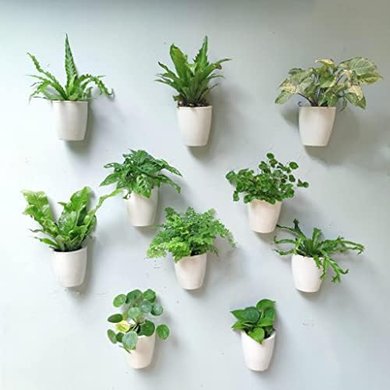 LaLaGreen 10-Pack Self-Watering Hanging Planters (5-inch, White)