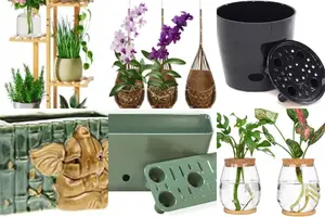 5 Best Bamboo Planters for Your Home