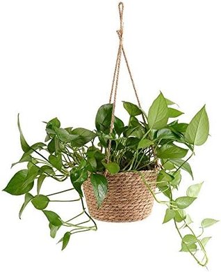 Jute Rope Hanging Planter Basket: Decorative Home Decor