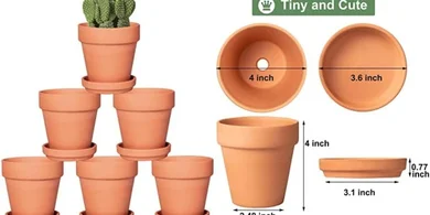 Six 4-inch terracotta pots with saucers and drainage holes.