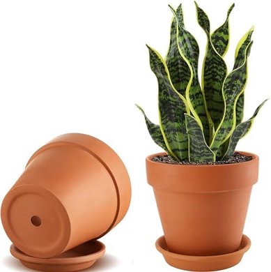 Terracotta Plant Pots with Saucers (2-pack, 8-inch)