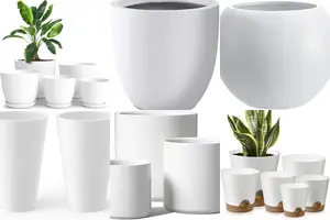 5 Stunning White Planters for Your Home