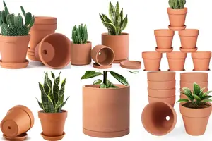 Top 5 Terracotta Planters You'll Love