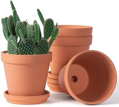 Terra Cotta Planters: 4x 6-inch Pots with Saucers & Drainage
